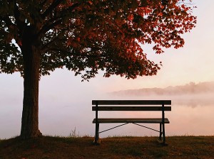 Bench 1_OSG
